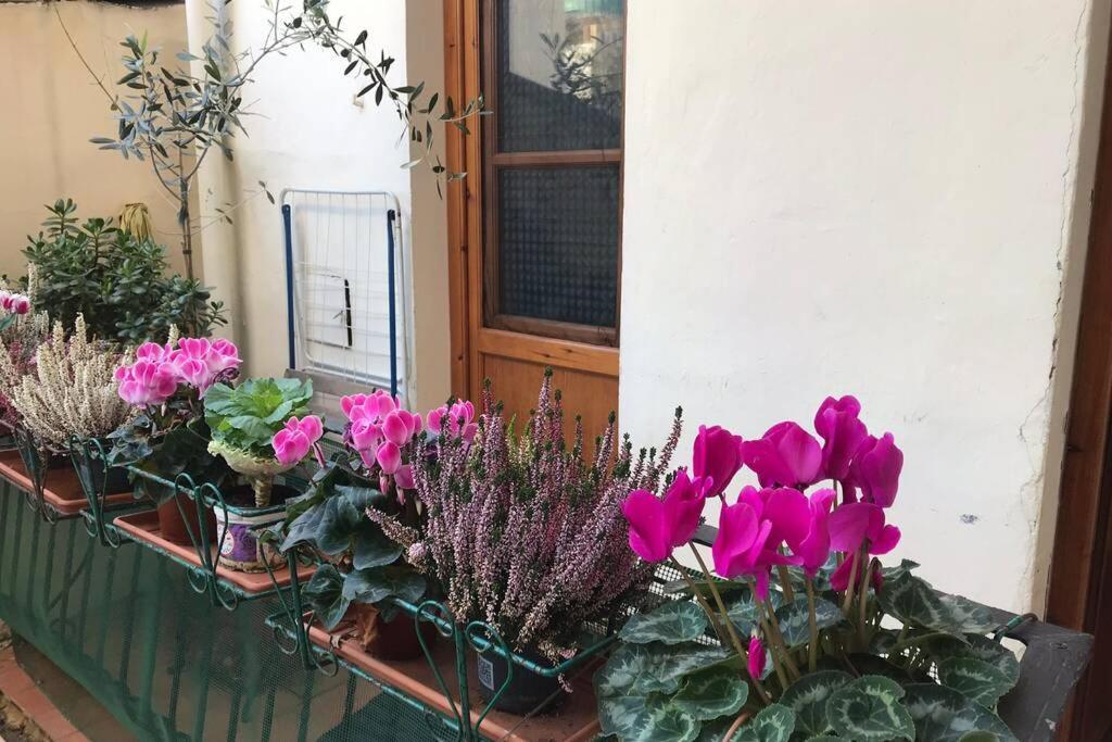 Deluxe Apartment In The Centre Of 피렌체 외부 사진